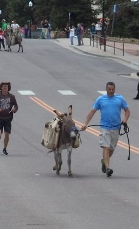 Donkey Derby Days in Cripple Creek, CO